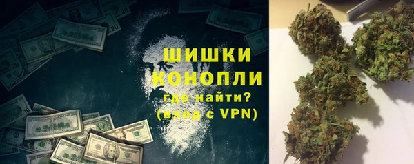ГАЛЛЮЦИНОГЕННЫЕ ГРИБЫ Белокуриха