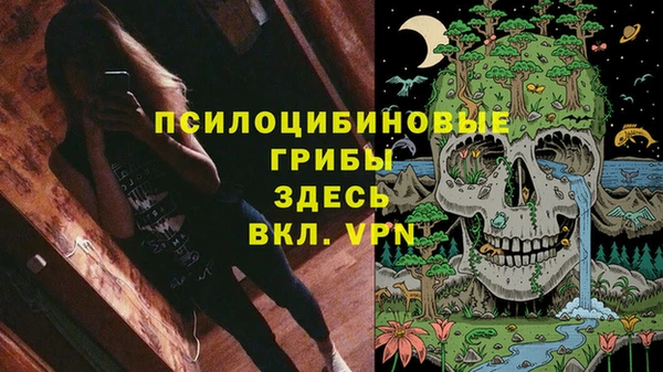 ГАЛЛЮЦИНОГЕННЫЕ ГРИБЫ Белокуриха