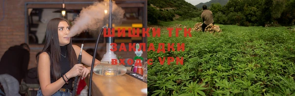 ГАЛЛЮЦИНОГЕННЫЕ ГРИБЫ Белокуриха