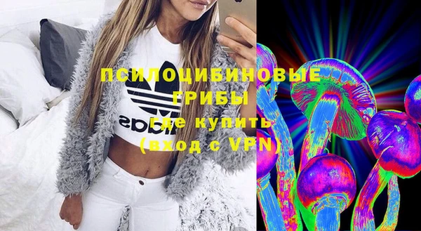 ГАЛЛЮЦИНОГЕННЫЕ ГРИБЫ Белокуриха