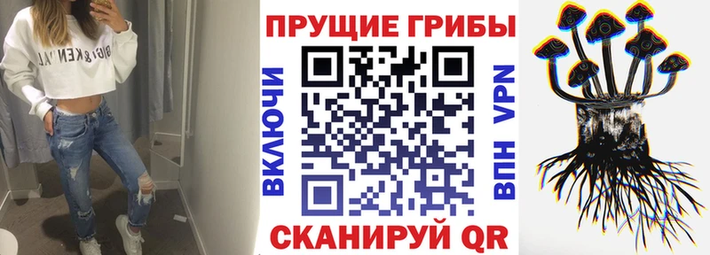 Псилоцибиновые грибы GOLDEN TEACHER  Омск 